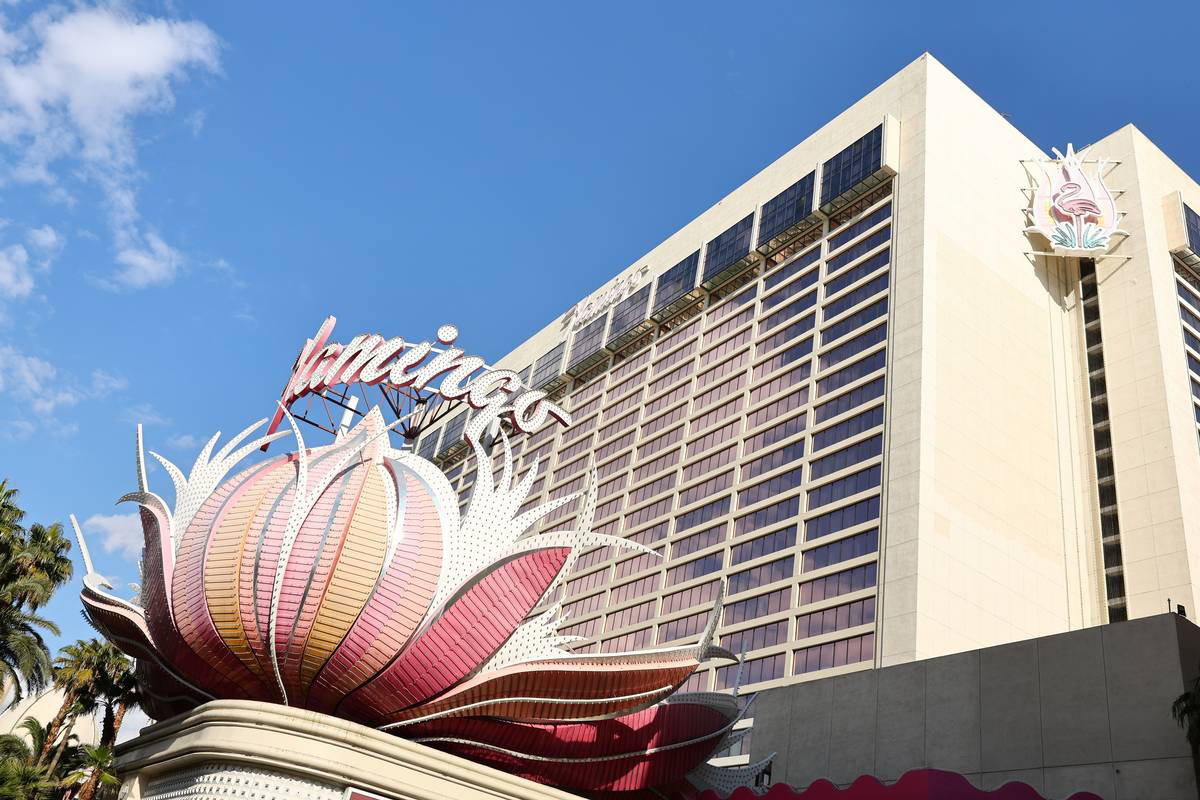 11月16日からF1が開催されるラスベガス