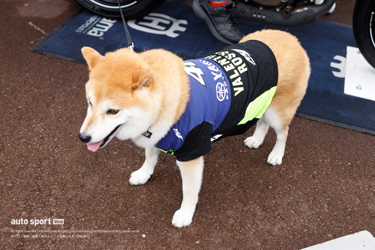 埋め尽くされた中上へのメッセージ！初日からイベント広場は大盛況／第16戦日本GP