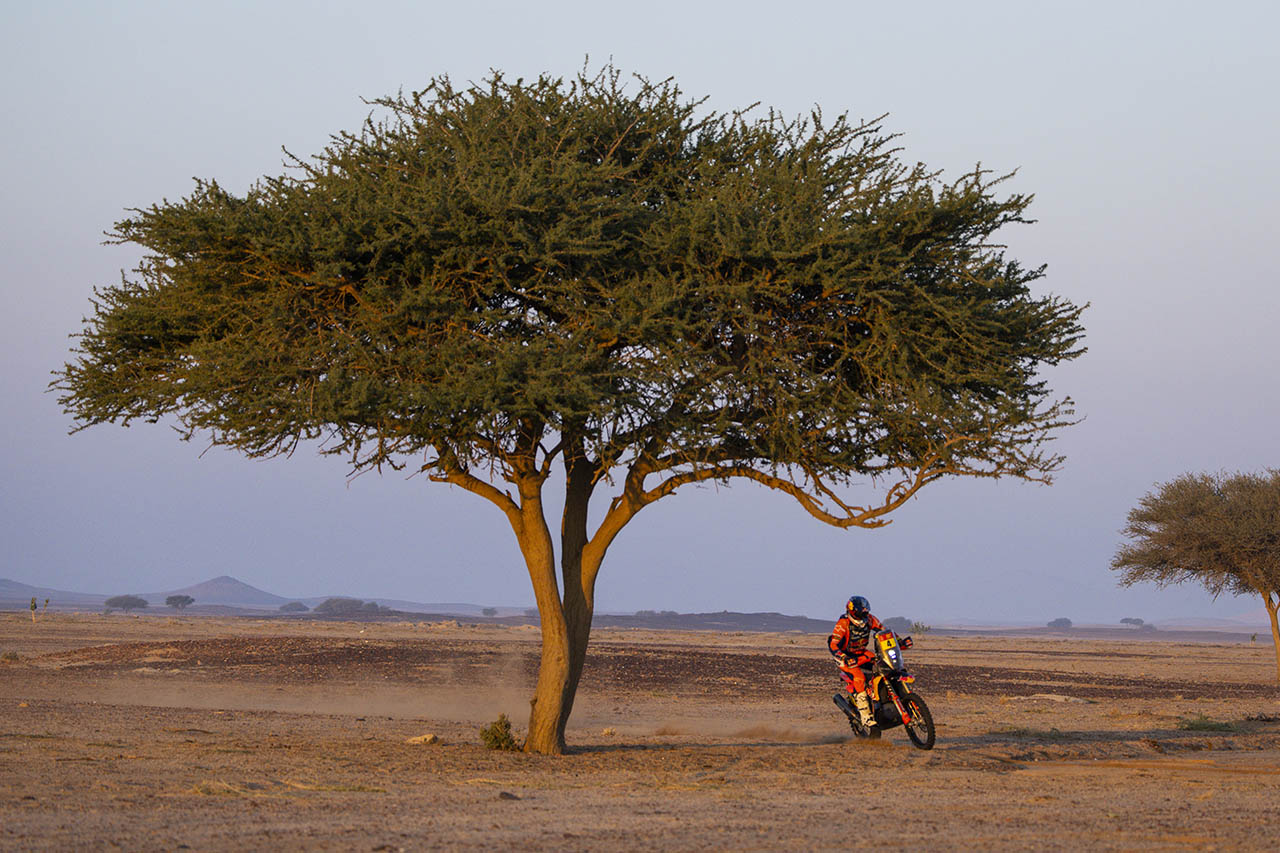 トヨタのラテガンがステージ最速でリード拡大。2輪ではホンダの主力が脱落【ダカールラリー2025】