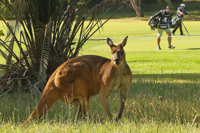 オートスポーツweb20周年連載企画『20の質問で丸わかり！』その1　石浦宏明選手