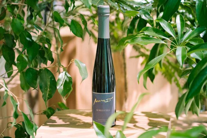 “モリゾウ、森を飲む”の発想から誕生した『MORIZO TEA』を新緑の空間で楽しめる特別展示が開催