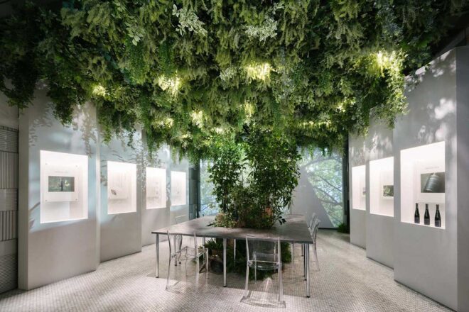 “モリゾウ、森を飲む”の発想から誕生した『MORIZO TEA』を新緑の空間で楽しめる特別展示が開催