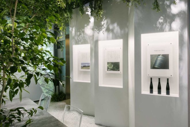 “モリゾウ、森を飲む”の発想から誕生した『MORIZO TEA』を新緑の空間で楽しめる特別展示が開催