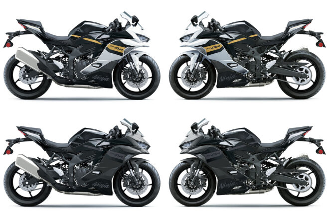 Switch2018グレー Puig 21831H Z-RACING SCREEN [SMOKE] Kawasaki ZX-6R (24-25