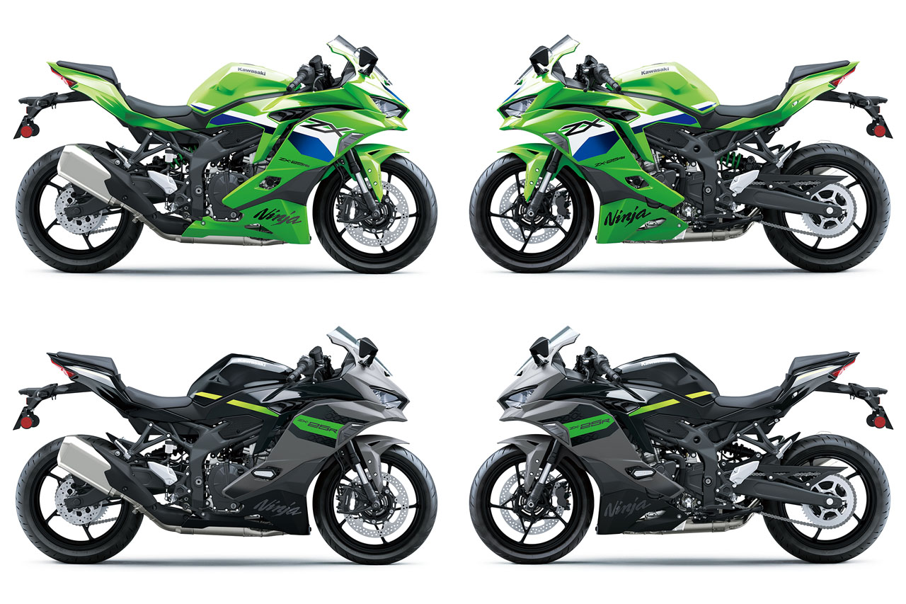 リースモルネクバージョン違う場合もあります。 モルトNEXTのカラー別利点まとめ｜たけのこ/PRD