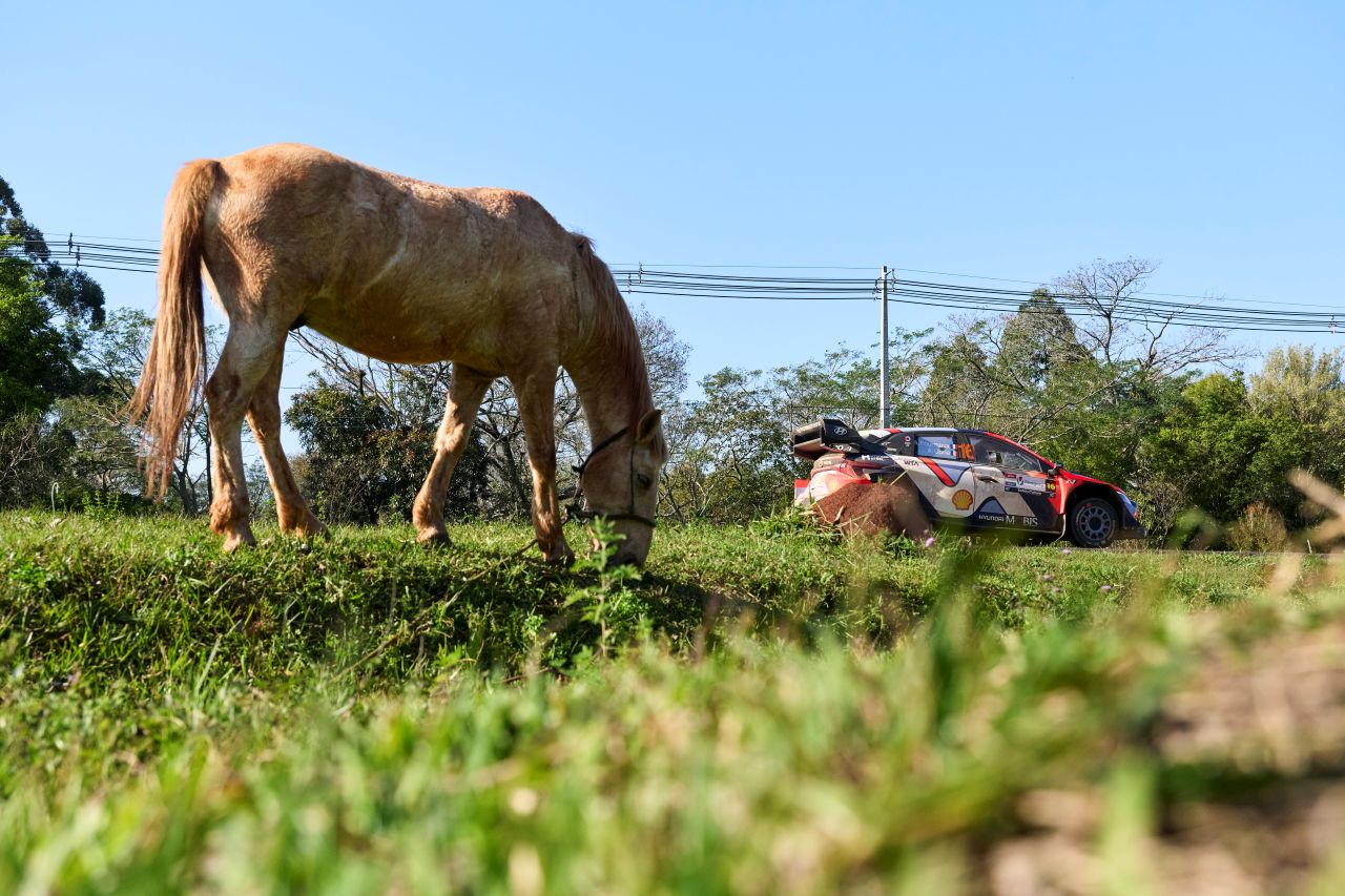 アドリアン・フルモー（ヒョンデi20 Nラリー1）
