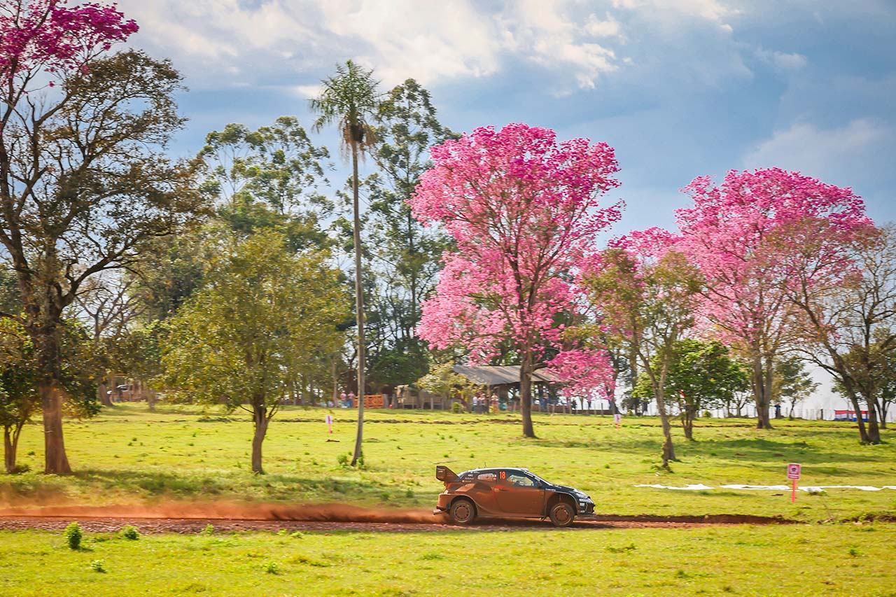 勝田貴元（トヨタGRヤリス・ラリー1）