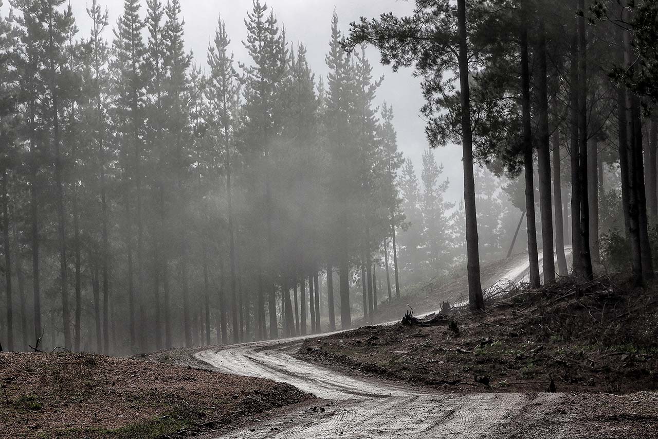 トヨタ、シーズン10勝目を狙ってチリへ。陣営内の王者争いには「最高のチャンスを与えたい」とカンクネン