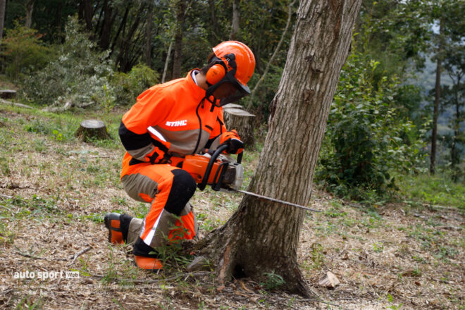 國井、古里、山中らが日本GPを前にサステナビリティ活動を実施。間伐でもてぎの森を育む