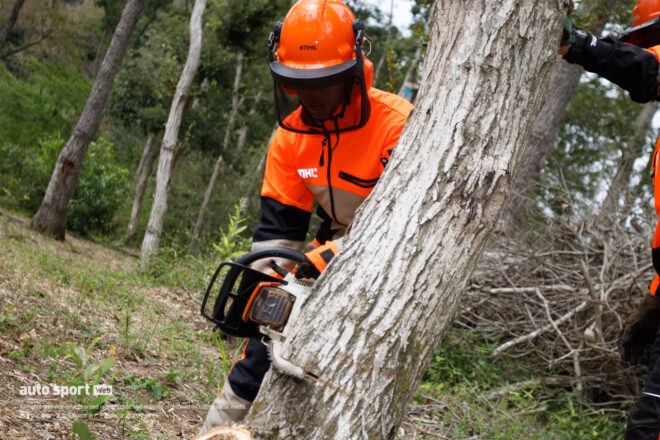 國井、古里、山中らが日本GPを前にサステナビリティ活動を実施。間伐でもてぎの森を育む