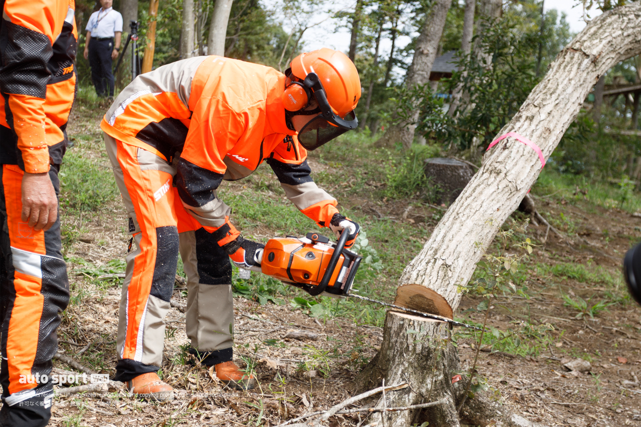國井、古里、山中らが日本GPを前にサステナビリティ活動を実施。間伐でもてぎの森を育む