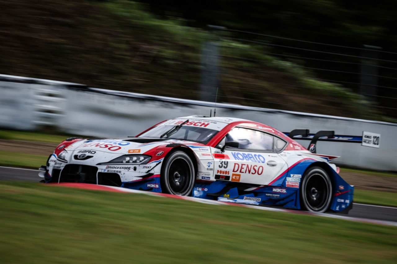 ブセファランドラ Yahoo!オークション - 【山水苑タグ付】ブセファランドラ