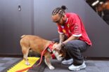 ルイス・ハミルトン（フェラーリ）と愛犬ロスコー