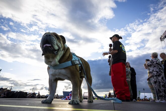 ルイス・ハミルトン（フェラーリ）と愛犬ロスコー