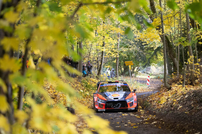 ティエリー・ヌービル（ヒョンデi20 Nラリー1）