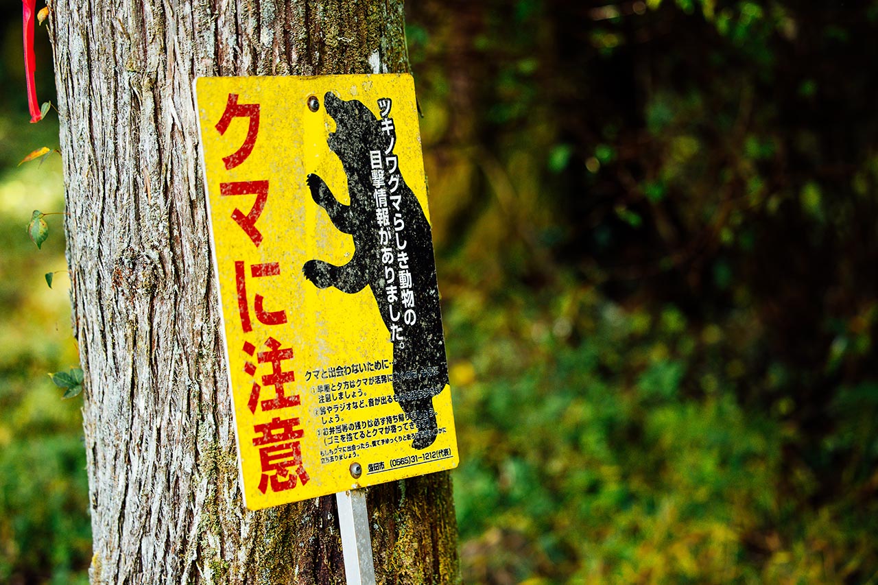 “溝落とし”走法は可能なのか。ラリージャパン連覇中のエバンスに聞く日本の公道を攻める際の注意点