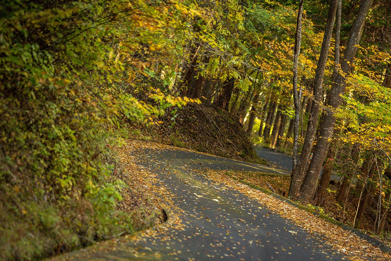 “溝落とし”走法は可能なのか。ラリージャパン連覇中のエバンスに聞く日本の公道を攻める際の注意点
