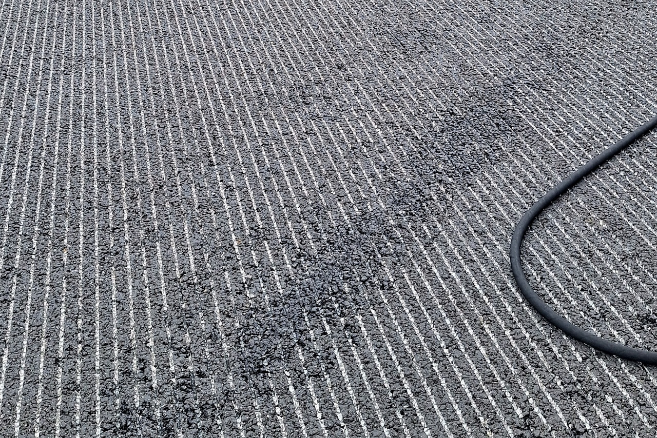 2025年F1第21戦サンパウロGP