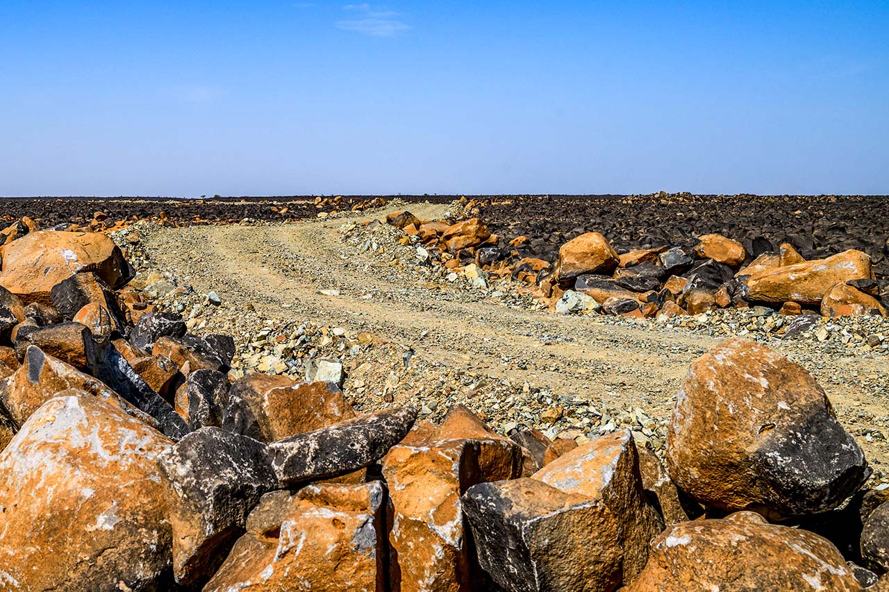 いよいよタイトル決戦へ。WRC初開催のサウジアラビアは「ケニアとギリシャをミックスしたような」ステージでの争いに