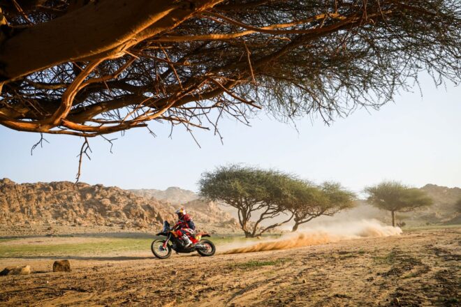レッドブルKTMファクトリーレーシングのダニエル・サンダース（KTM450ラリーファクトリー）