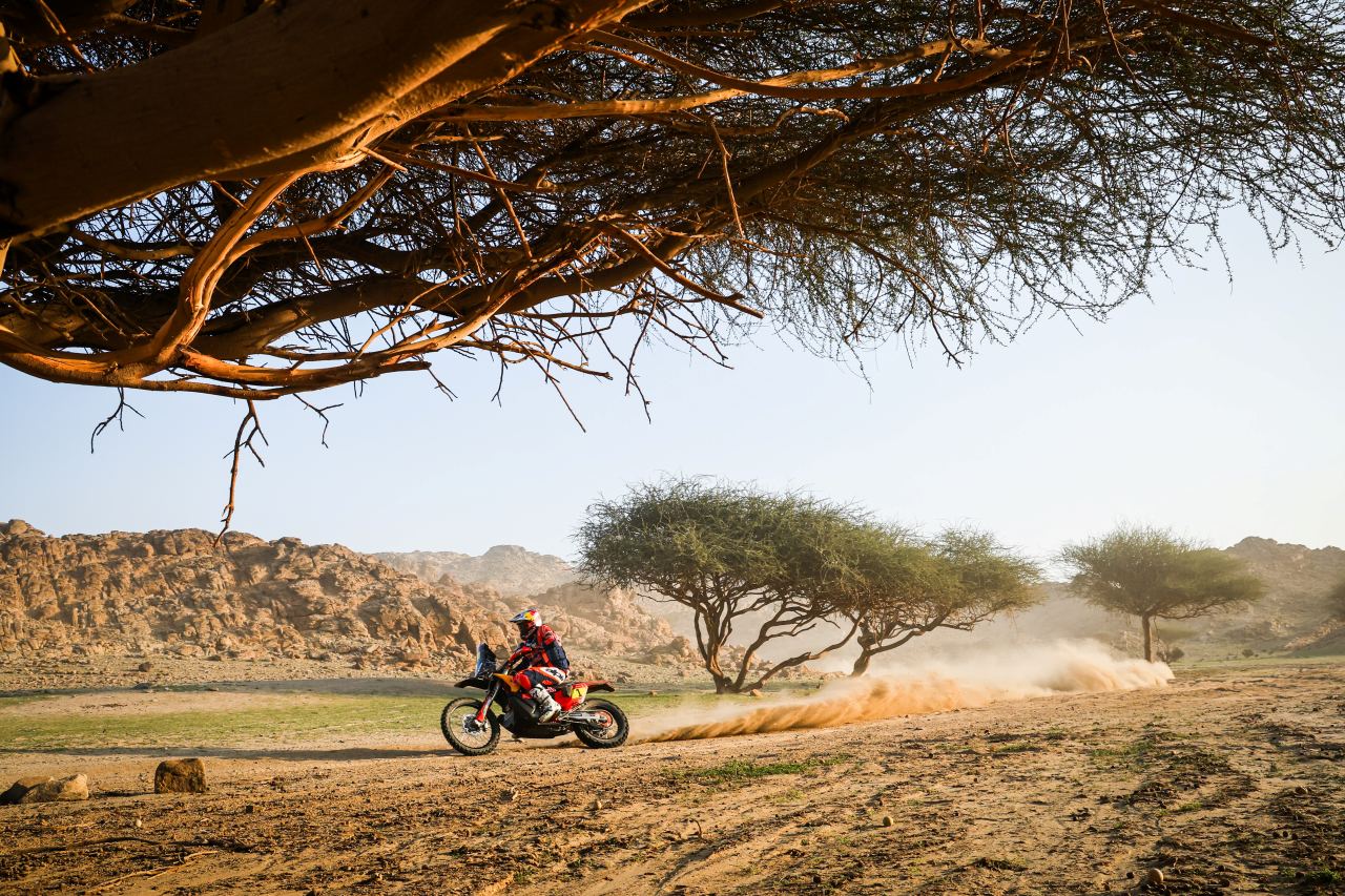 レッドブルKTMファクトリーレーシングのダニエル・サンダース（KTM450ラリーファクトリー）