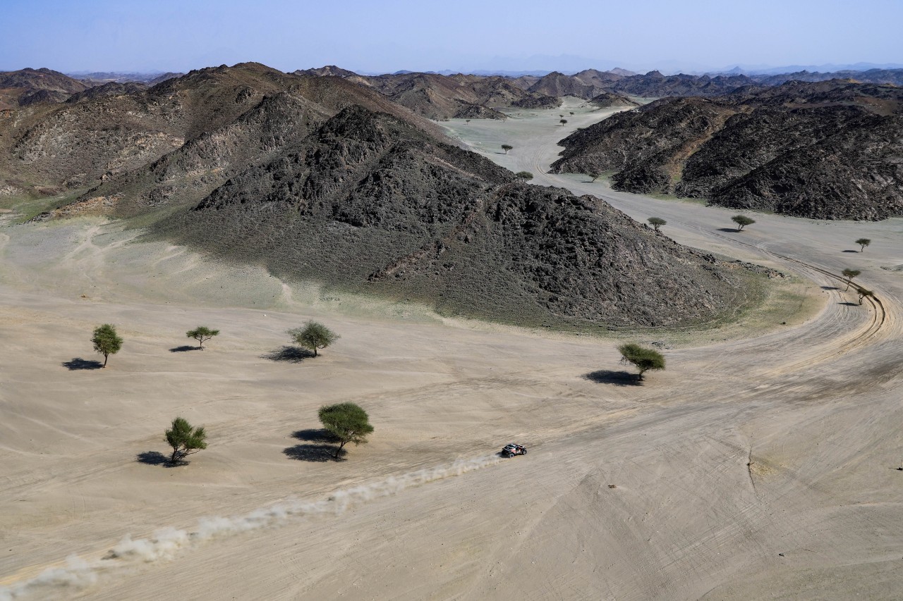 ザ・ダチア・サンドライダーズのナッサー・アル-アティヤ（ダチア・サンドライダー）