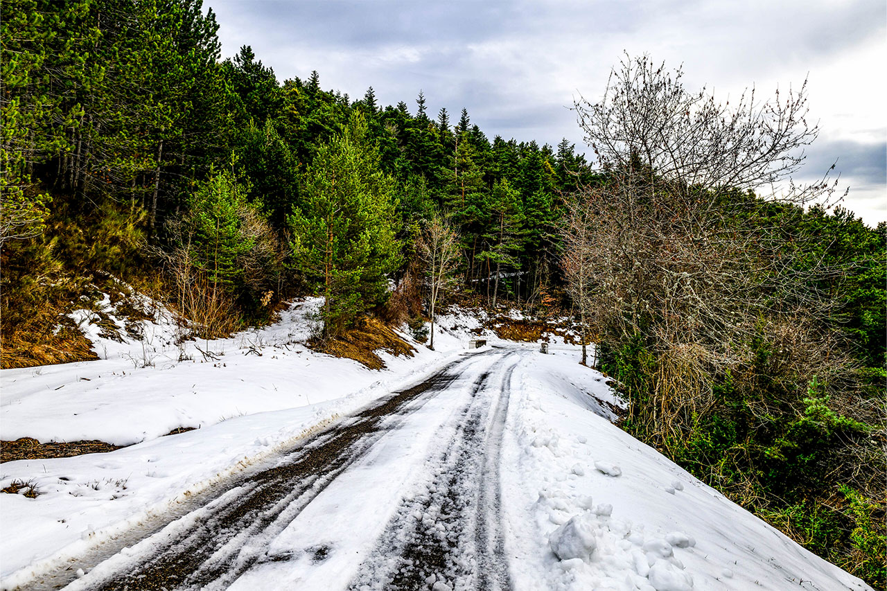 【タイム結果】2026年WRC第1戦ラリー・モンテカルロ SS3後