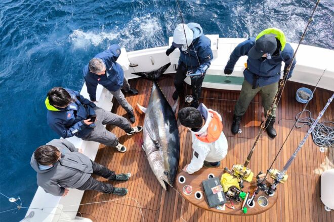 木村武史、伊豆大島沖で200kg超のクロマグロを一本釣り。世界で戦うジェントルマンドライバーの超豪快釣りエピソード