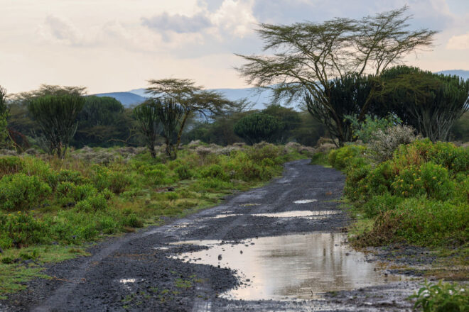 好調トヨタGR、5台体制で「もっとも過酷」なサファリ・ラリーで開幕3連勝＆6連覇に挑む／WRC第3戦
