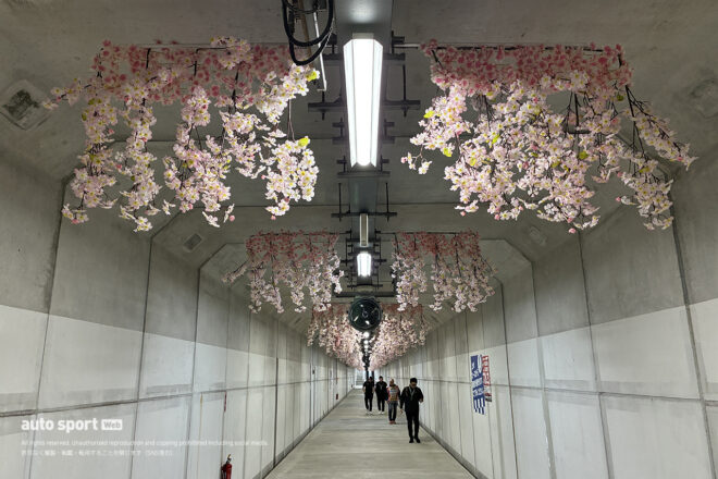 2026年F1第3戦日本GP木曜日　パドックトンネル内の桜の装飾