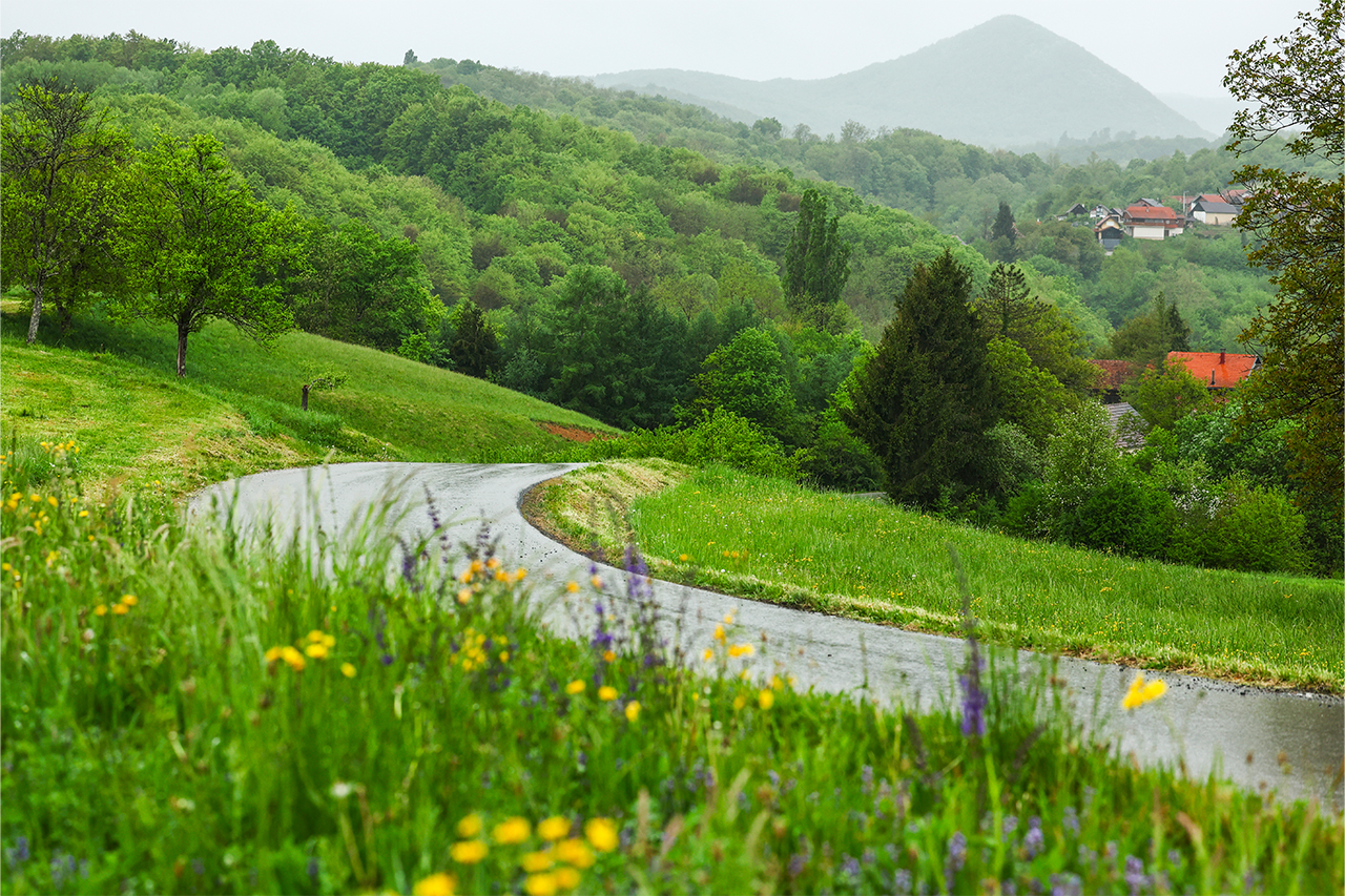 クロアチア・ラリーのステージ