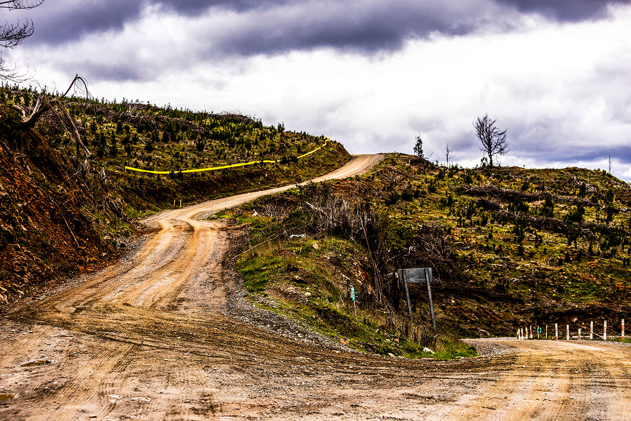 南米ラリーで観客を巻き込むクラッシュが発生。1名死亡、2名負傷の事故にFIAが声明を発表