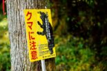 2026年WRC第7戦ラリージャパン TV放送／タイムスケジュール／エントリーリスト